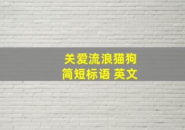 关爱流浪猫狗简短标语 英文